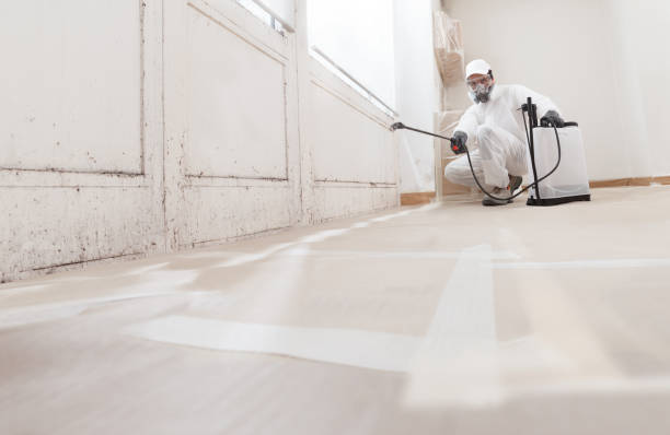 24/7 Emergency Bathroom Mold Removal experts in Jeffersonton, VA